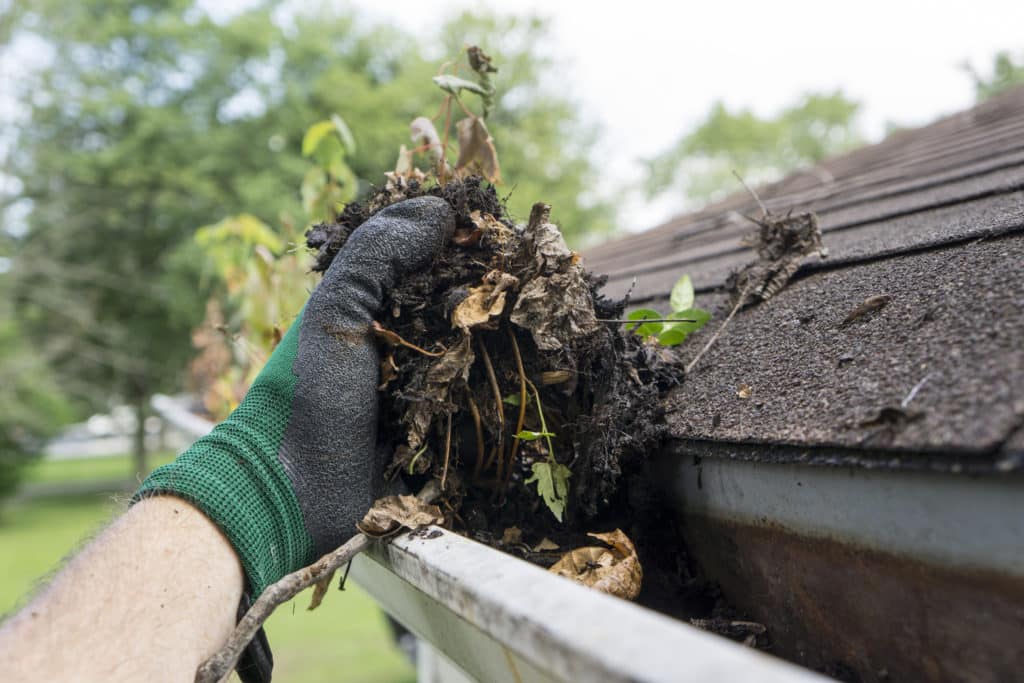 Gutter Cleaning Companies St. Petersburg FL