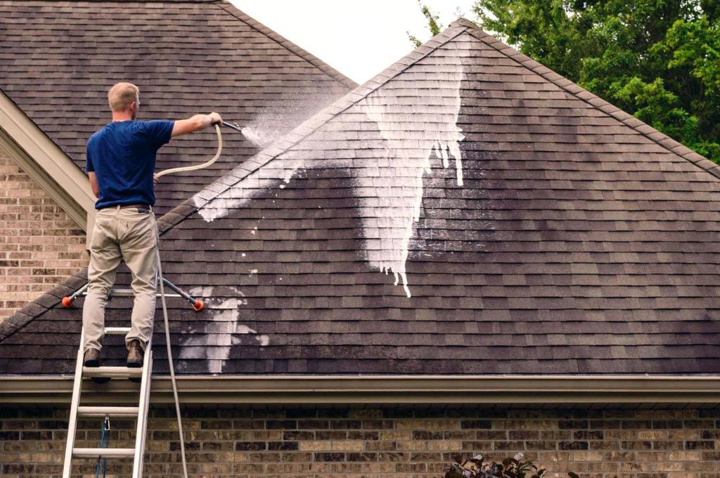 Roof Washing Services St. Petersburg FL